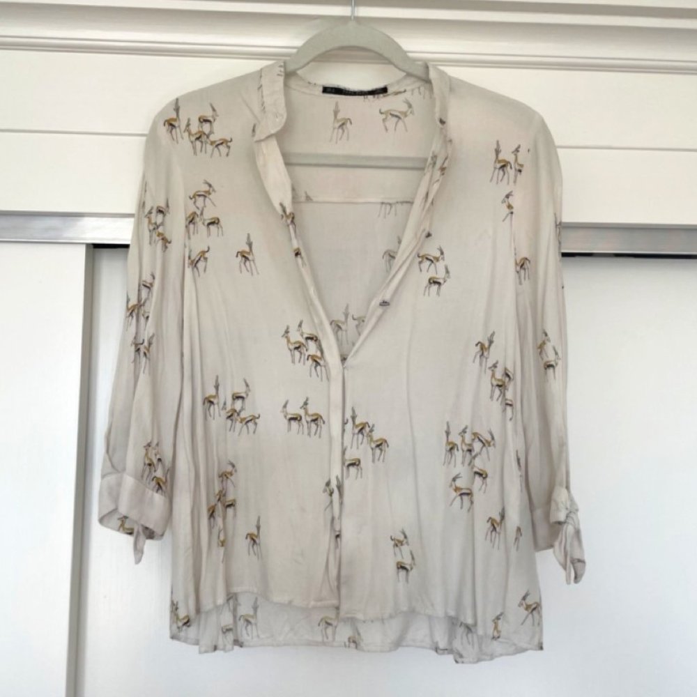 Zara Basic Antelope Buttondown Shirt